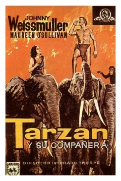 Ficha Tarzan y su Compañera