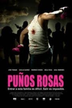Poster Puños Rosas