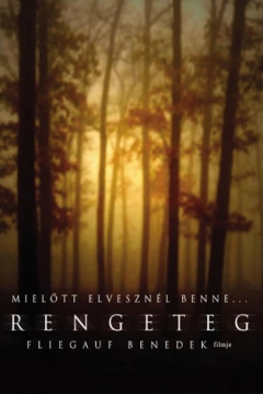 Poster Bosque