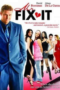 Poster Mr. Fix It