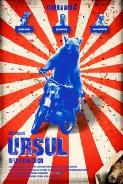 Poster The Bear