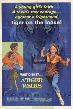 Poster Un Tigre se Escapa