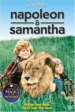 Poster La Montaña de la Aventura (Napoleón y Samantha)