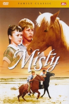 Poster Misty