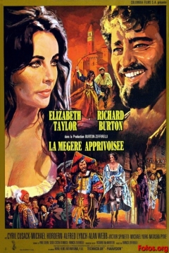 Poster La Mujer Indomable