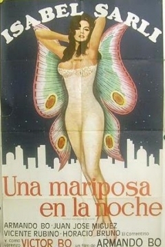 Poster Una mariposa en la noche