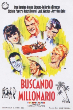 Poster Buscando Millonario