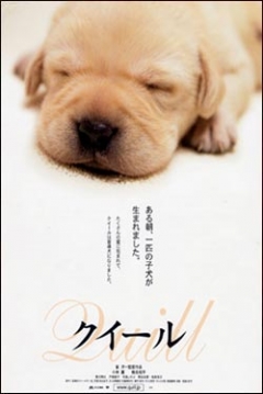 Poster Quill