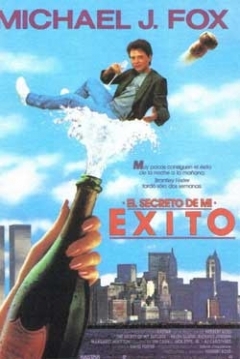 Poster El Secreto de Mi Éxito