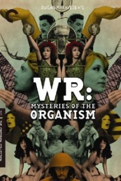Poster Los Misterios del Organismo