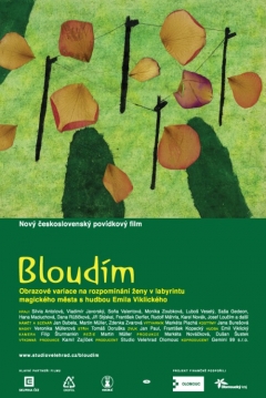 Poster I am Wandering