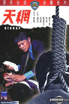 Poster Kidnap