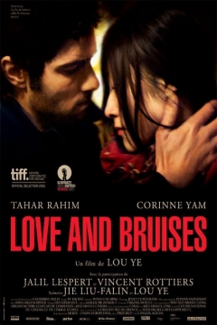Poster Love and Bruises