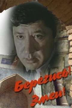 Poster Beregis, Zmey!