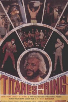 Poster Titanes en el Ring