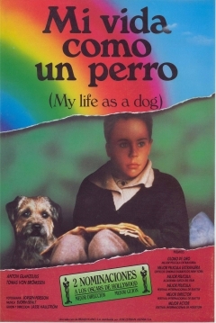Poster Mi Vida Como un Perro