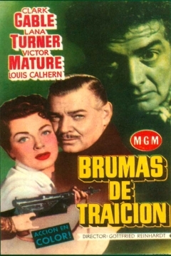 Poster Brumas de Traicion