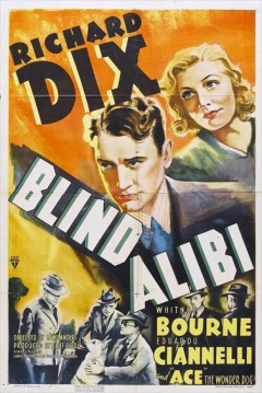 Ficha Blind Alibi