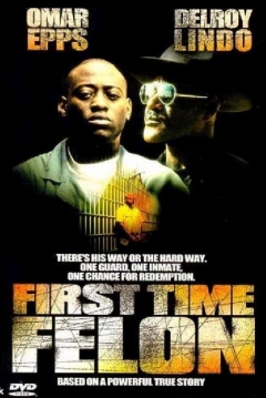 Poster First Time Felon