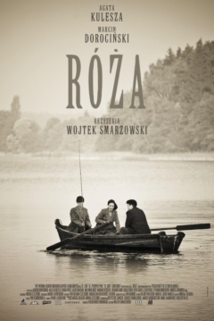 Poster Rosa