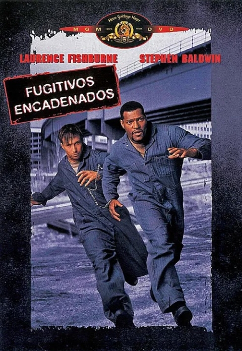 Fugitivos Encadenados — póster