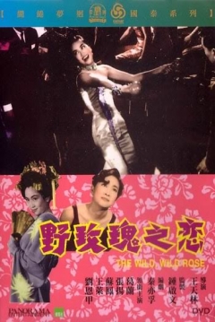 Poster Wild Rose