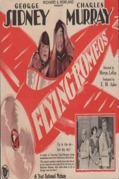 Poster Flying Romeos