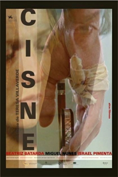 Poster Swan