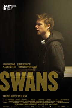 Poster Swans