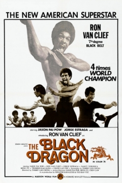 Poster The Black Dragon