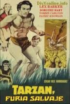 Poster Tarzán, Furia Salvaje