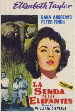 Poster La Senda de los Elefantes