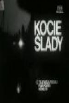 Poster Kocie Slady
