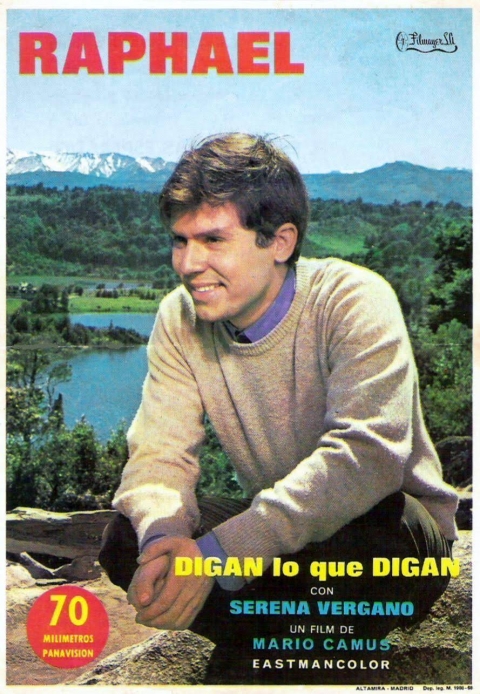 Ficha Digan lo que Digan