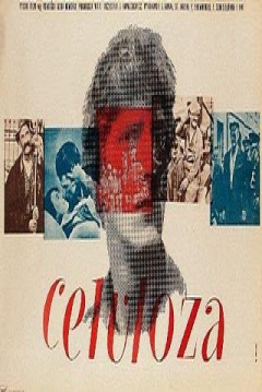 Poster Celulosa