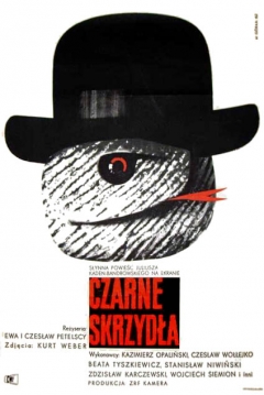 Poster Black Wings