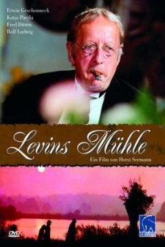 Poster El Molino de Levin