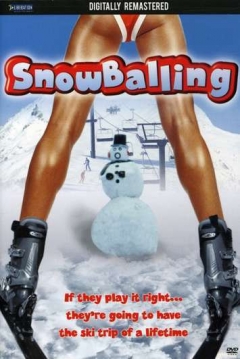 Poster Bolas de Nieve