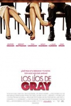 Poster Los líos de Gray