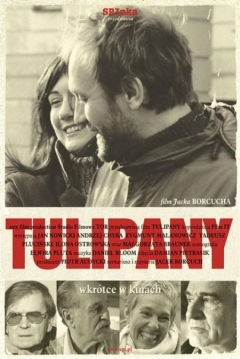 Poster Tulips