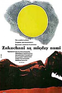 Poster Falling in Love
