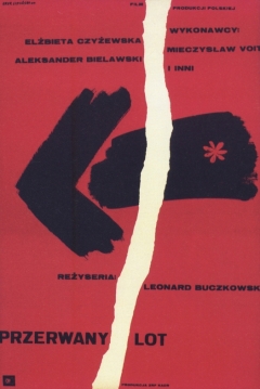 Poster Interrupted Flight