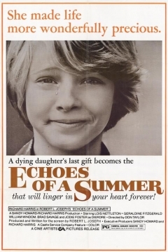 Poster Ecos de un Verano