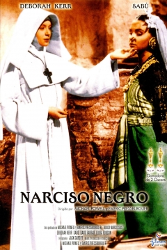 Ficha Narciso Negro