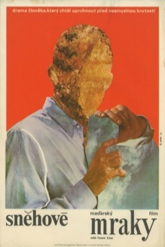 Poster Snowfall