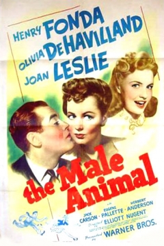Poster The Male Animal