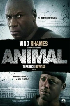 Poster Animal