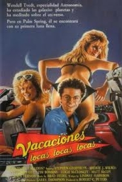 Ficha Vacaciones locas, locas, locas