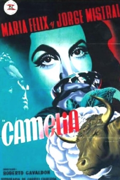 Poster Camelia