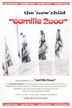 Poster Camelia 2000